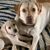Karen Riegel's profile image
