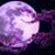 Susan Rose's profile image