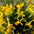 Donna Fielding Freeman's profile image