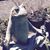 Benedicte Carbonnier's profile image