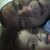 Robert Chapa's profile image