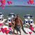 Marlo Mortier-Hower's profile image