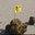 Oti5's profile image