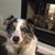 Kathy Romanelli's profile image