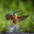 Marianne Mantoen's profile image