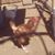 Lavinia Marie Street's profile image