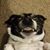 Cerine Mayo's profile image