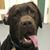 Jammie Luce's profile image