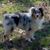 Carol J Fritchey's profile image