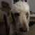 John Leonard's profile image