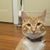 Emileigh Speagle's profile image