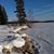 Coleen Straiton Kellen's profile image