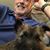 Steve Taylor's profile image