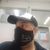 Cristian Ramirez Lambrusqui's profile image