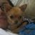 Justina Madera's profile image