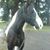 Kirsten Moen's profile image