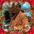 Tina Butts's profile image