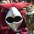 Jonathan Brous's profile image