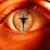 John C Wichmann's profile image