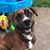 Liz Keels's profile image