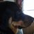 Jill Robinson's profile image