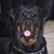 Charity Caperton's profile image