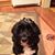 Carol Davis's profile image
