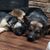 Angie Prentice Reinke's profile image