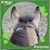 Shannon Robbins's profile image