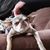 Heather Jones Kinnan's profile image