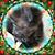 Diana Elliott's profile image