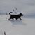 Jennifer Williams's profile image