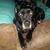 Wally Messer's profile image