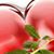 Md Sarfaraz's profile image