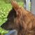 Sharon Rose Davister's profile image