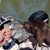 Jeff Harrison's profile image