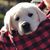 Jeff Wilson's profile image
