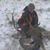 Justin Hunter Shank's profile image