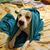 Emily Campbell Wilson's profile image