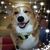 AnnMarie Rochelle's profile image
