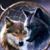 Tom Fritz's profile image