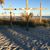 Sherrie Earley Edge's profile image