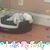 Doris Lundeen's profile image