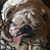 Jason Dye's profile image