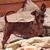 Jennifer Skeel's profile image