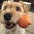 Amanda Brown's profile image