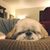 Erica C Bartley's profile image