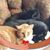 Christy A. Ross's profile image