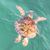 Cathy G Brown's profile image