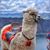 Fernande Fischer Heck's profile image